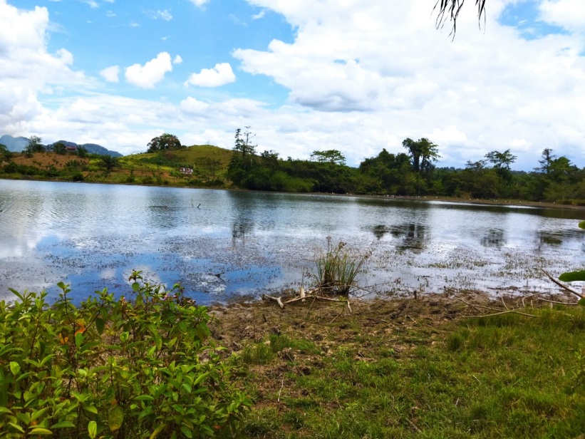 Pemetaan daerah aliran sungai